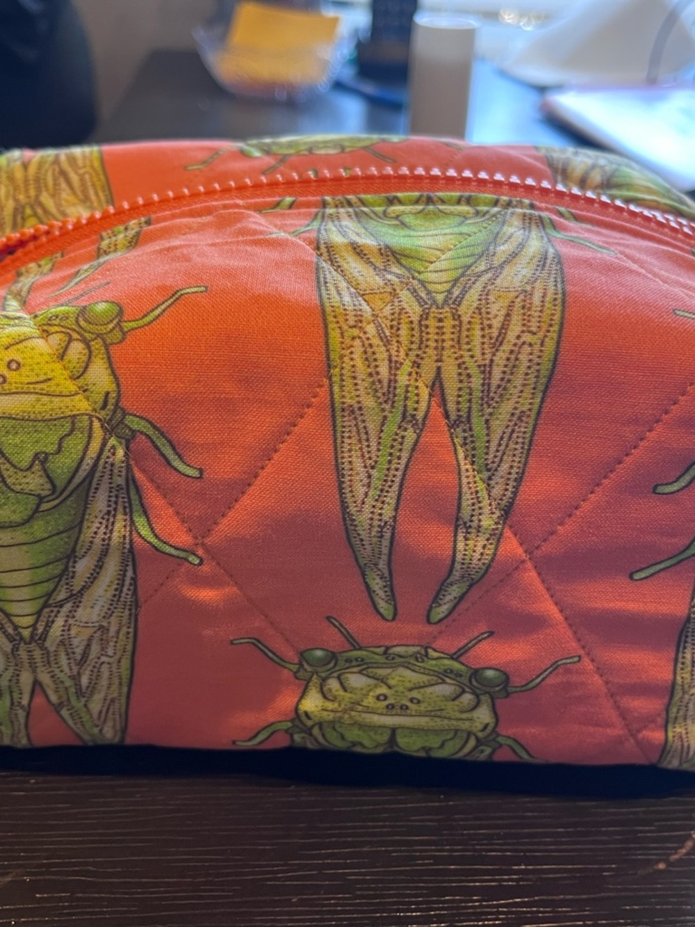 Orange Quilted Cosmetic Bag with Green Cicada Print